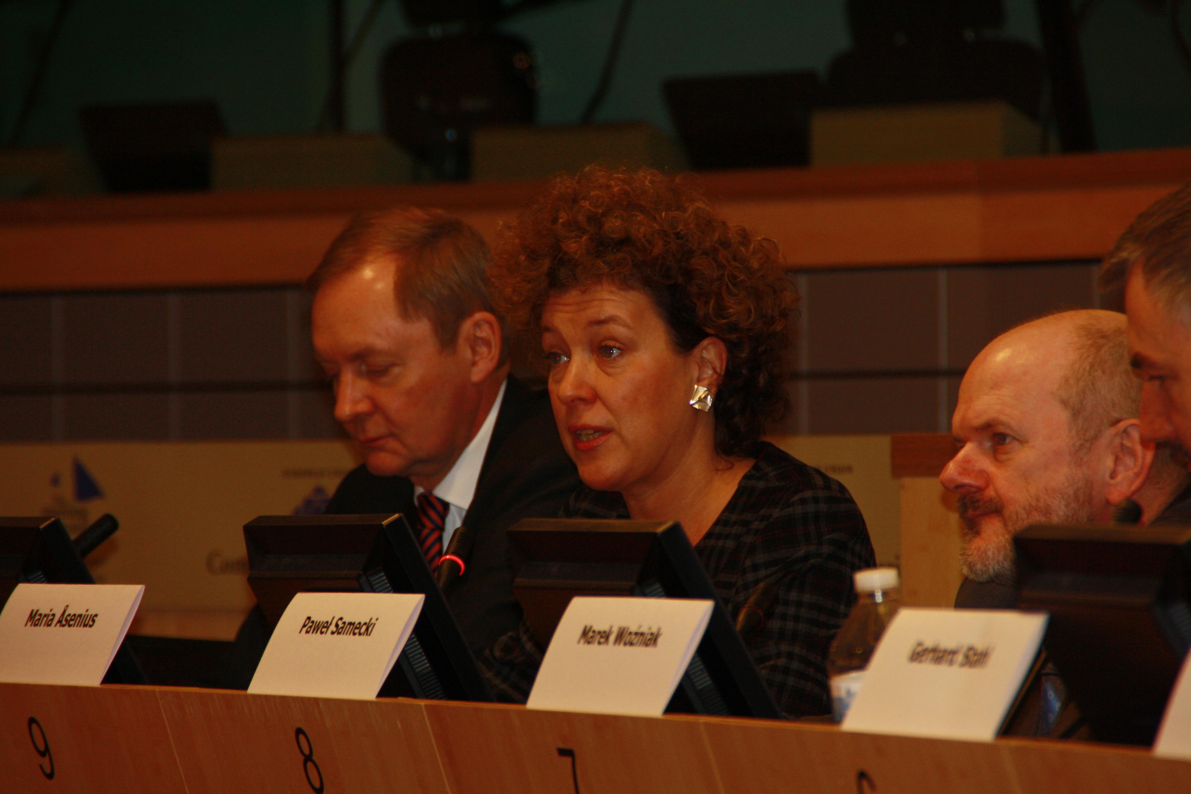 batyk-panel.jpg